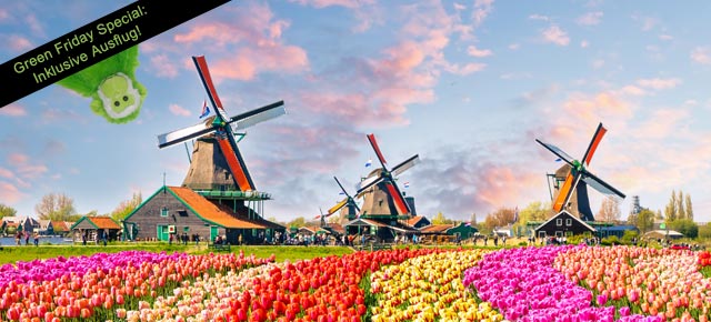 6 Tage Kreuzfahrt Blumenparadies Holland 2025 | Green Friday Special