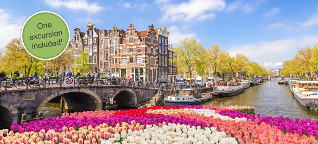 Flower Power in the Netherlands