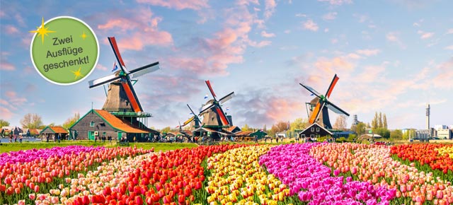 Tulpenblüte Holland