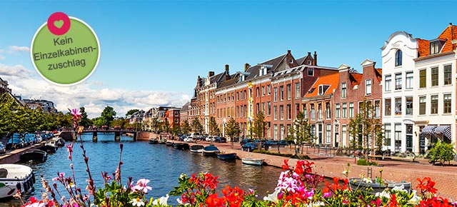 Nord-/Südholland und Belgiens Metropolen | Singles' Day Special