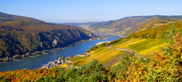 Autumn short cruise on the Rhine 2027